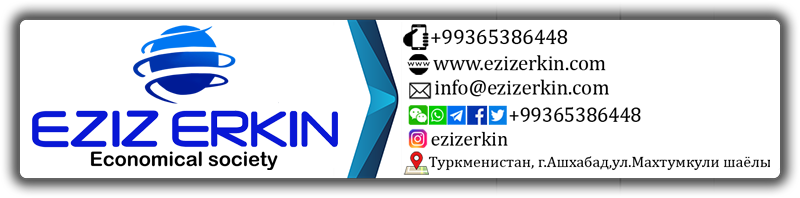 ezizerkin.com